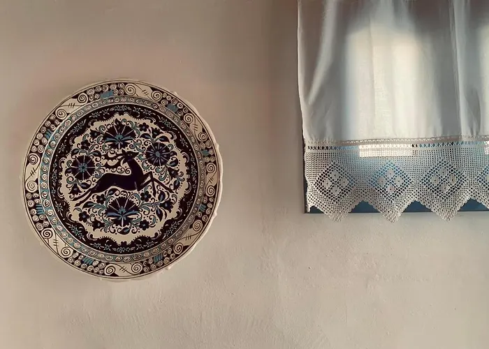 Apartament Rustic House