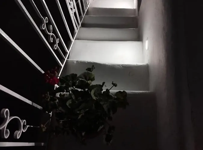 Apartament Rustic House *